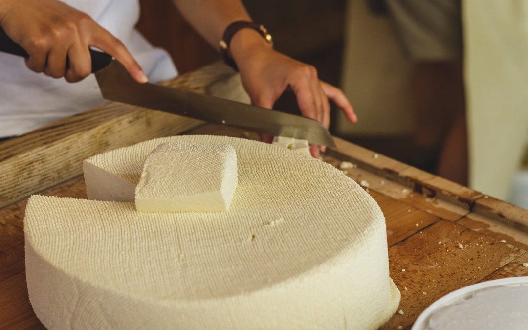 Important Steps in Cheese Making