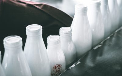 Milk Pasteurization Process