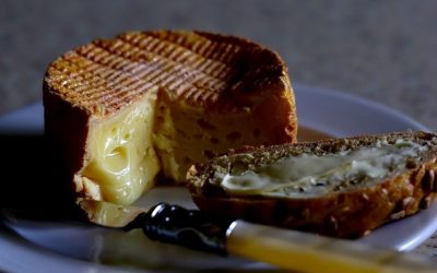 What is Washed Rind Cheese?