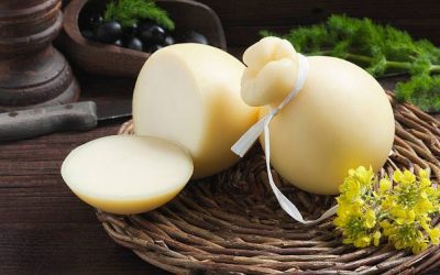 How to Make Provolone Cheese